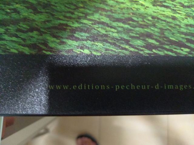 Cuadro de SEQUOIAS 150×51 ×8