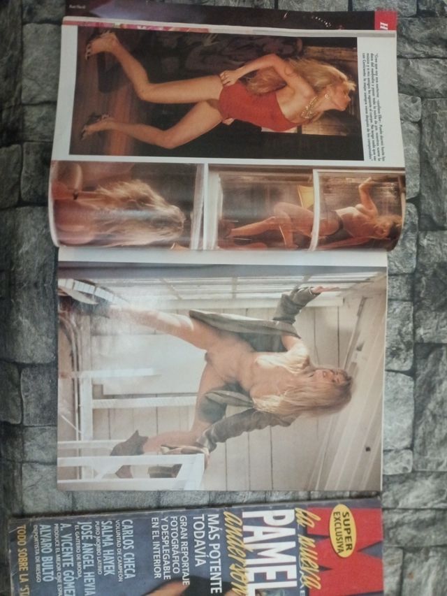 revistas playboy n 141 y n 192