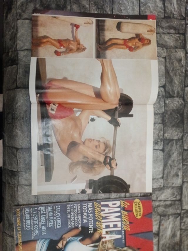 revistas playboy n 141 y n 192