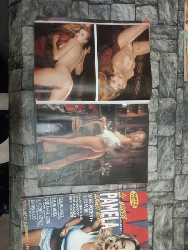 revistas playboy n 141 y n 192