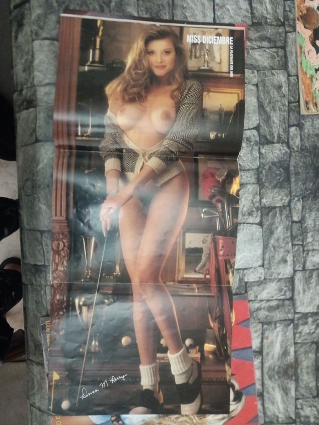 revistas playboy n 141 y n 192