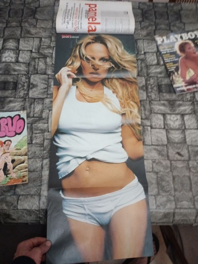 revistas playboy n 141 y n 192