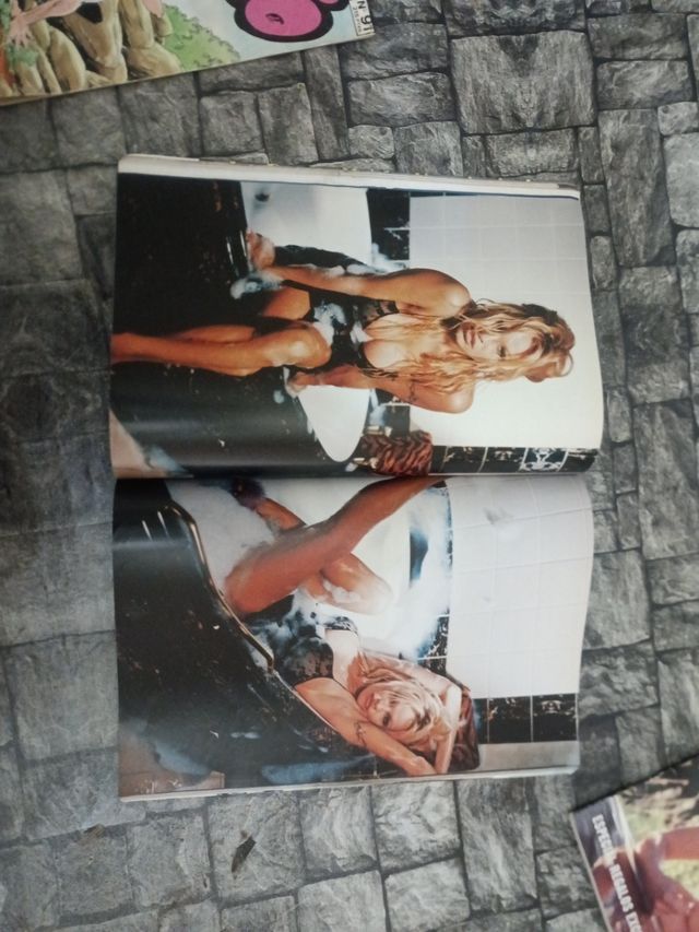 revistas playboy n 141 y n 192