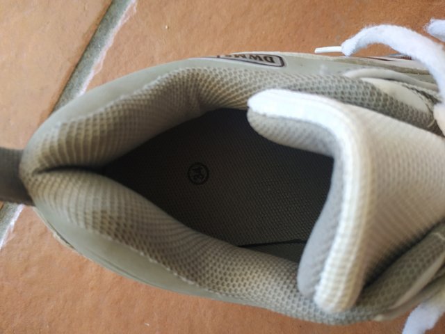 Zapatillas deportivas con ruedas.