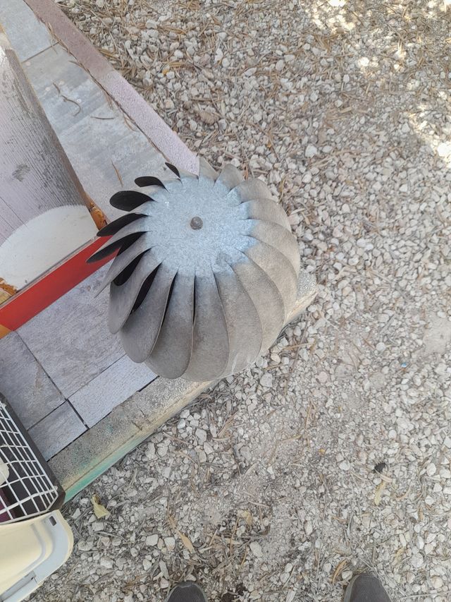 sombrerero rolex 250