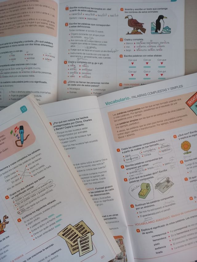 Lengua castellana 5 primaria Santillana