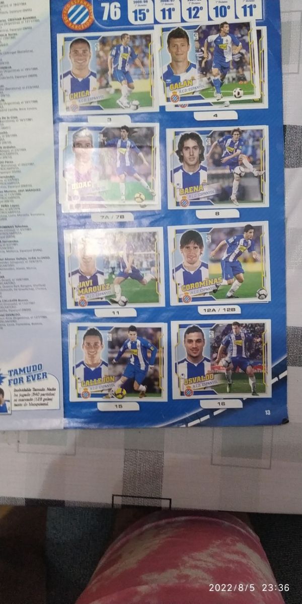 Album de cromos la liga BBVA 2010/2011