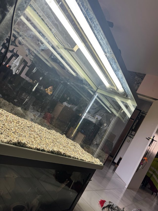 TERRARIO / no Acuario 150L