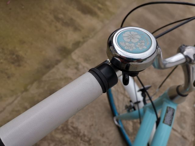 Bicicleta Electra  Townie 7D Lady 26 pulgadas