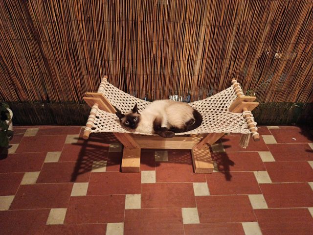 Hamaca para gato