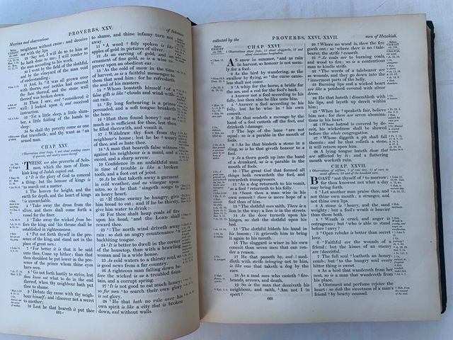 HOLY BIBLE biblia inglesa