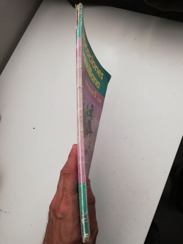 libro de 5° de Egb de vacaciones Santillana