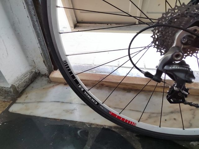 Bicicleta de carretera FOCUS cayo de carbono