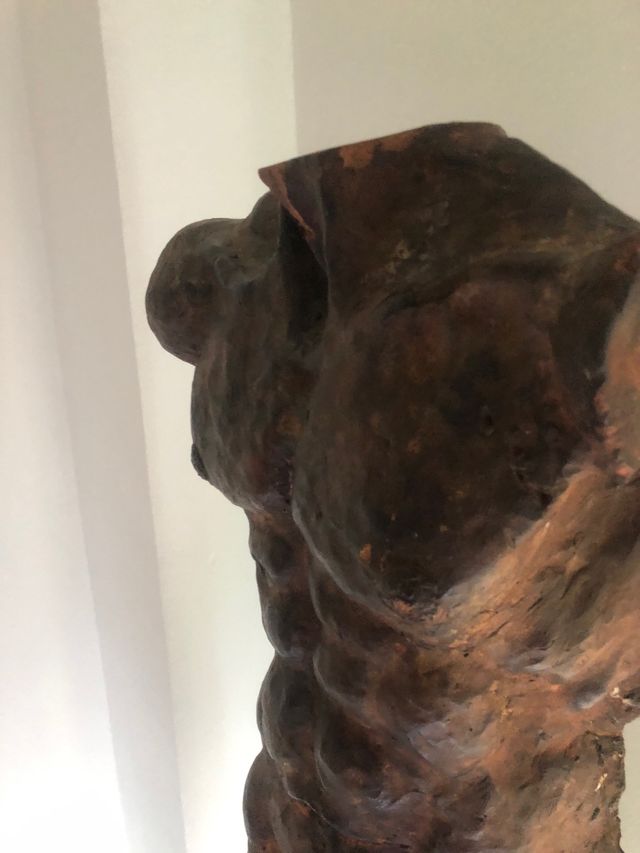Escultura de Torso de hombre.