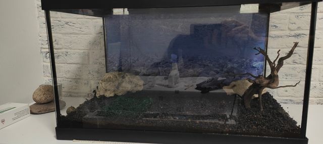Acuario 38 litros
