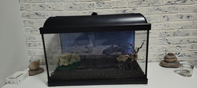Acuario 38 litros