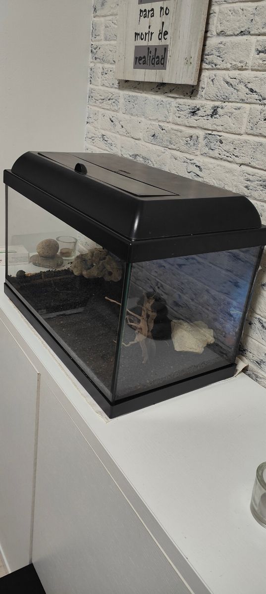 Acuario 38 litros