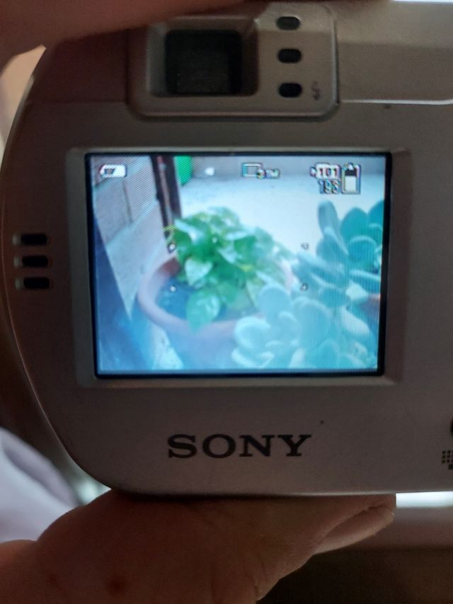 Fotocamera digitale Sony