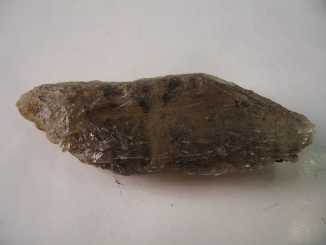 Gesso con inclusioni di carbonio. minerali