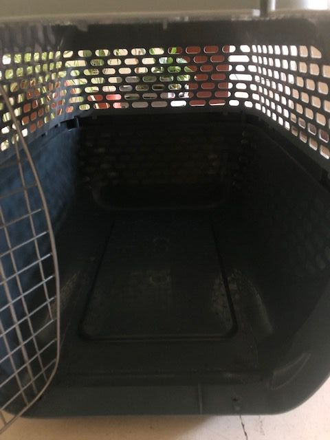 Transporte para animais de estimação