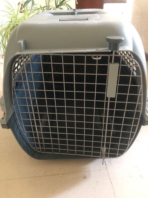 Transporte para animais de estimação