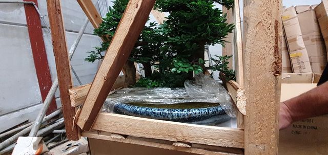 BONSÁIS  ARTIFICIALES 