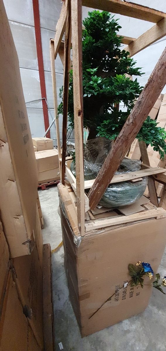 BONSÁIS  ARTIFICIALES 