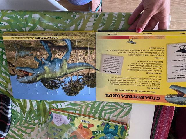 Libro dinosaurio