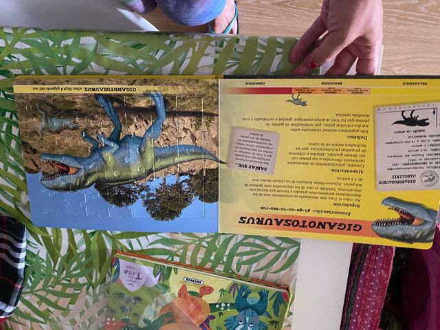 Libro dinosaurio