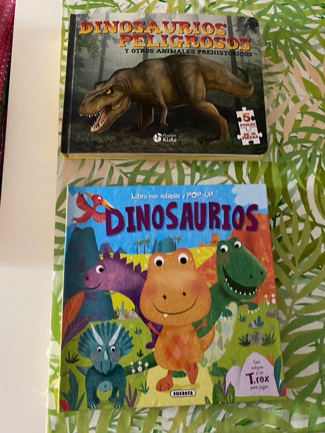 Libro dinosaurio