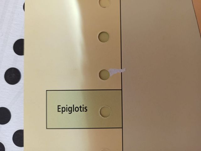 Juego Lectron Conoce tu cuerpo