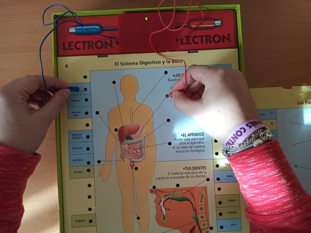 Juego Lectron Conoce tu cuerpo