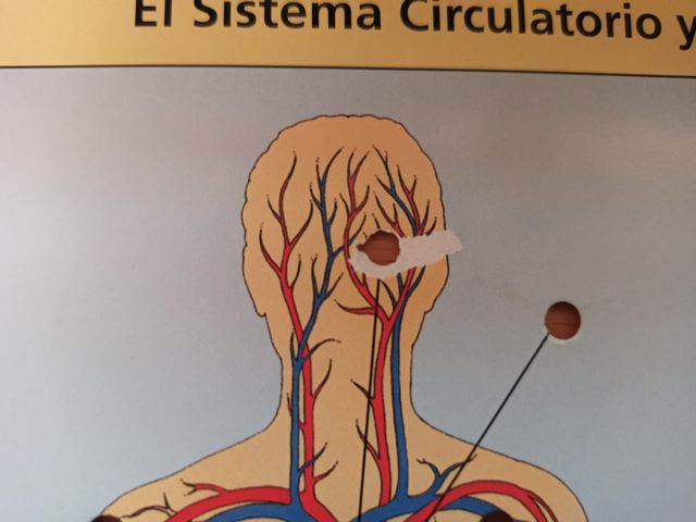 Juego Lectron Conoce tu cuerpo