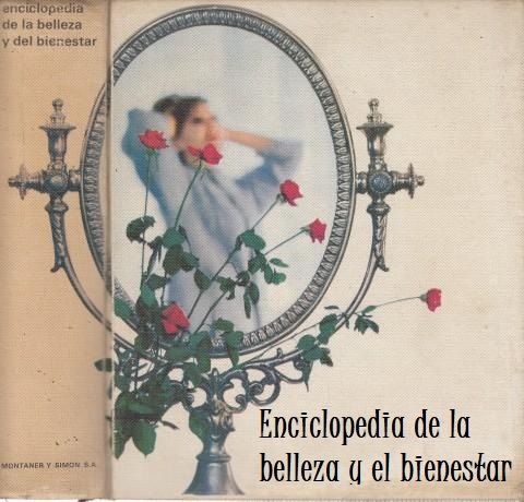 Enciclopedia belleza, bricolaje y decoración