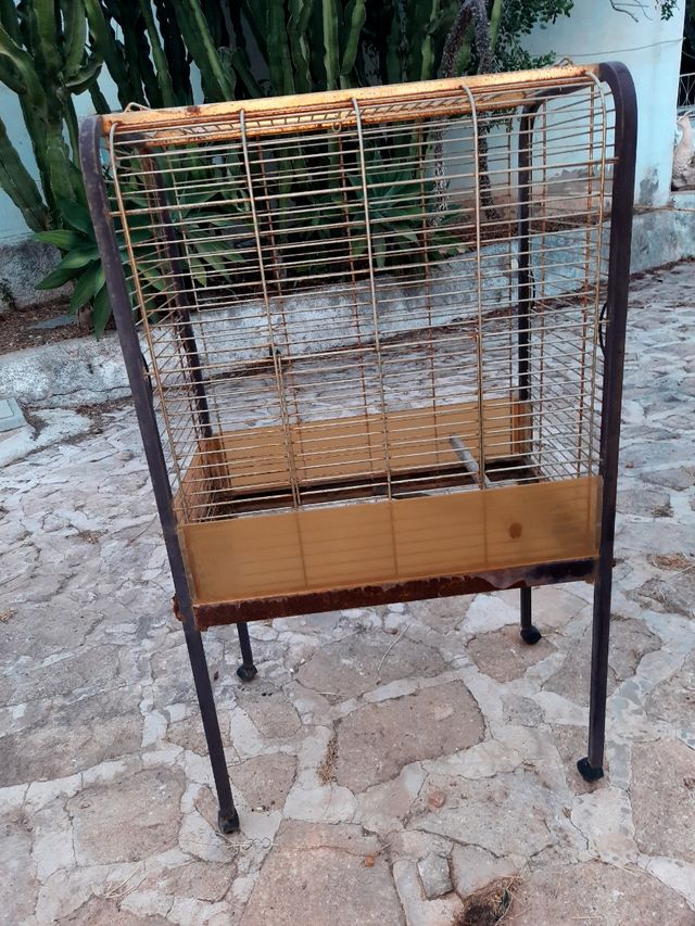 Grande gabbia per uccelli