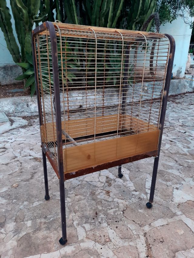 Grande gabbia per uccelli