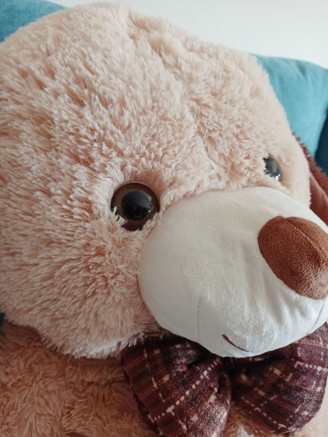 Oso de peluche