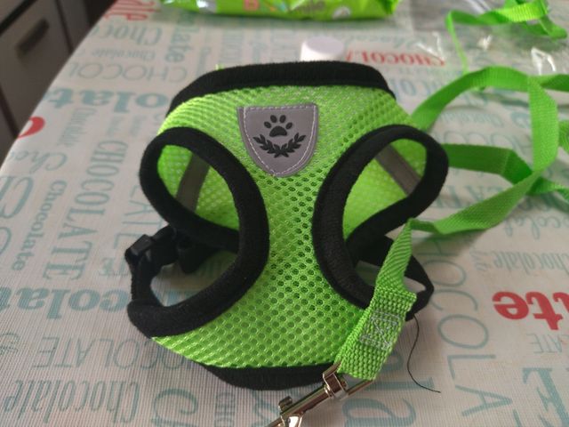 arnés de perro talla s y correa