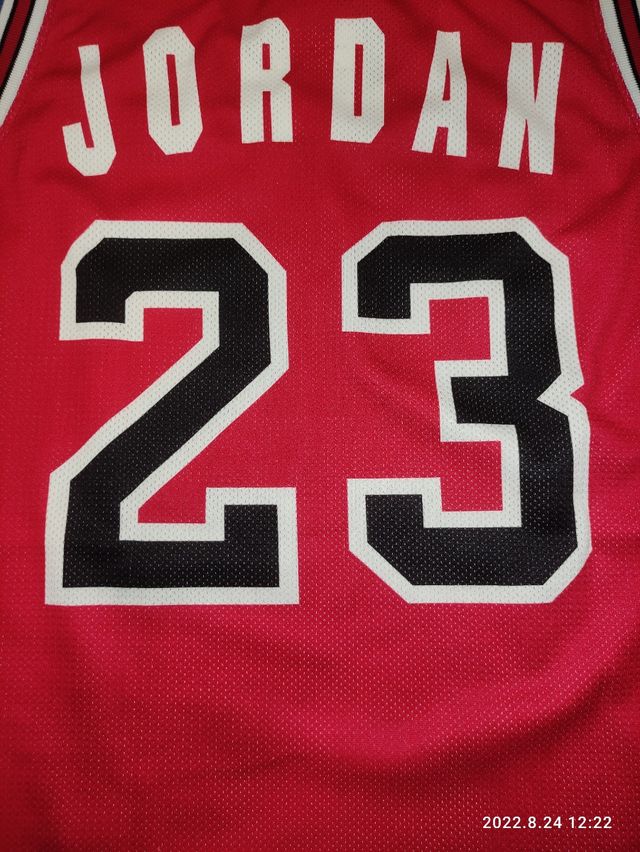 Camiseta Chicago Bulls Jordan