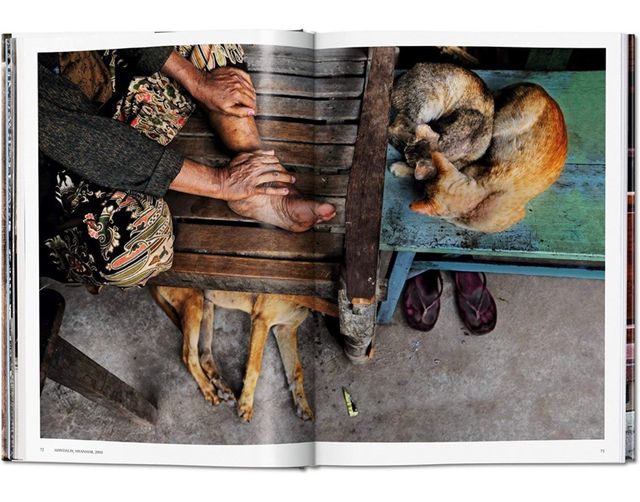 ANIMALI Steve McCurry