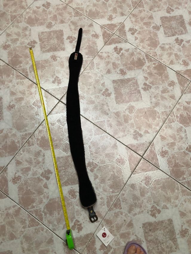 Cinturón que simula piel de serpiente