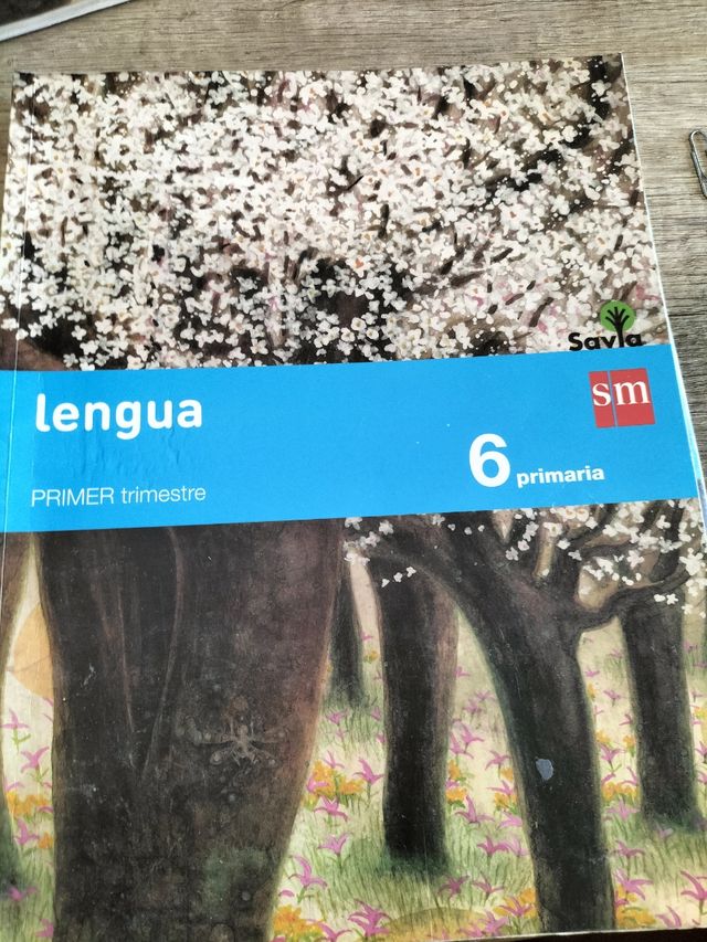Vendo libros de lengua de 6° de primaria 