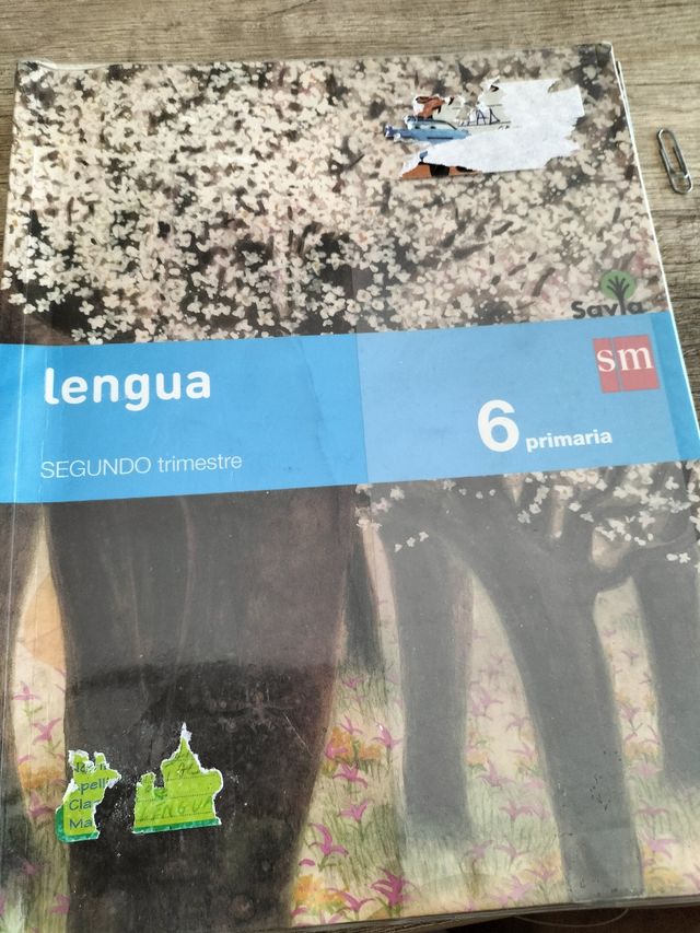 Vendo libros de lengua de 6° de primaria 