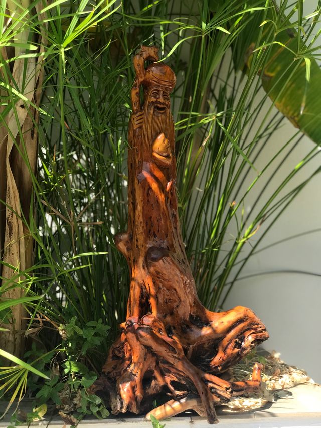 DIOS DE LA LONGEVIDAD