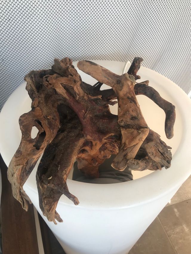 DIOS DE LA LONGEVIDAD