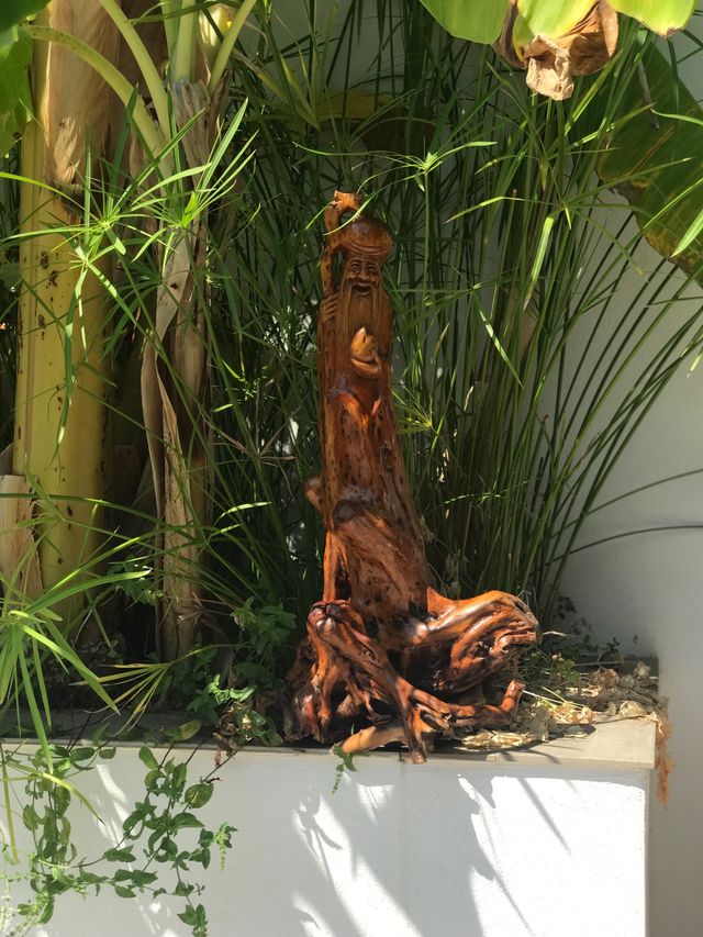 DIOS DE LA LONGEVIDAD