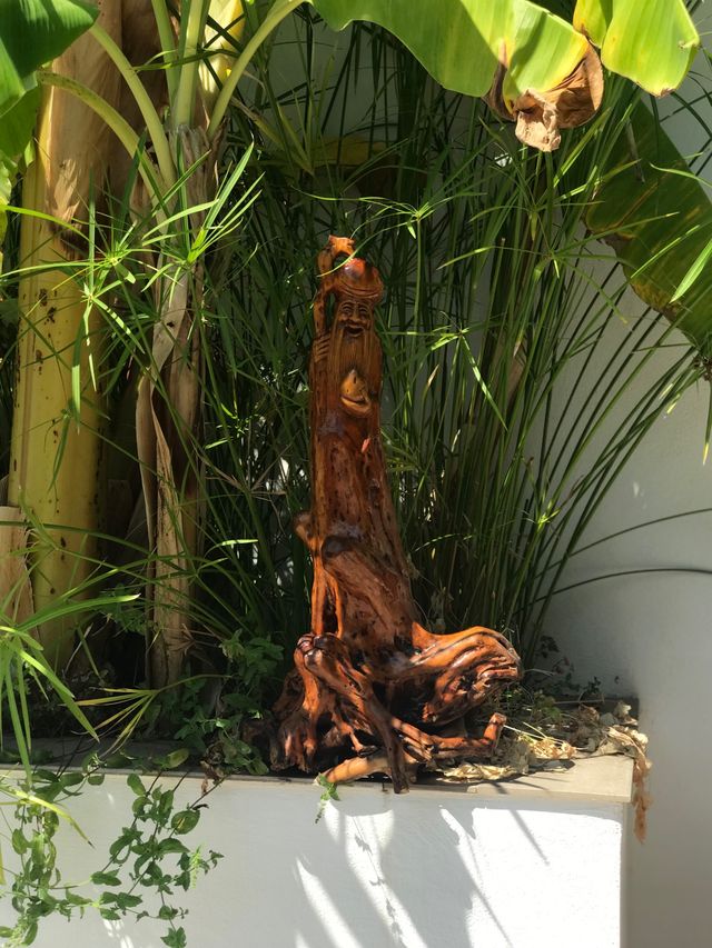 DIOS DE LA LONGEVIDAD