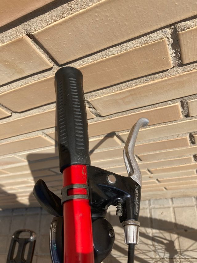 Bicicleta de Montaña