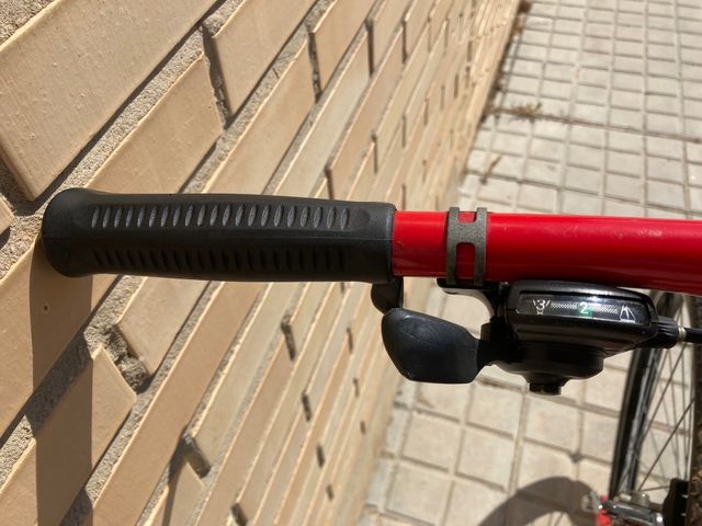 Bicicleta de Montaña