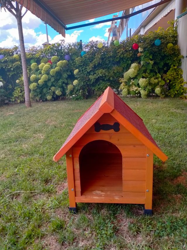 caseta para perro